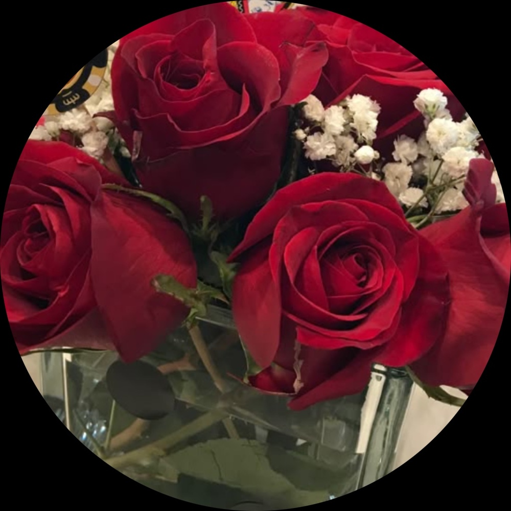 Meet your Posher, Sori